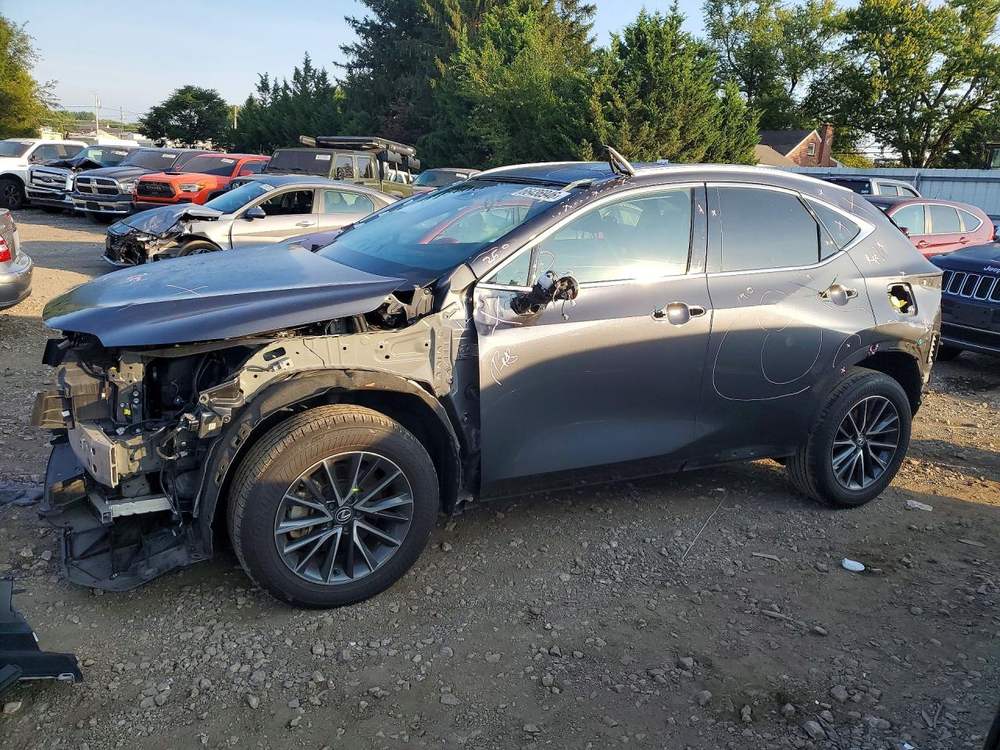 2024 Lexus NX 350 Premium