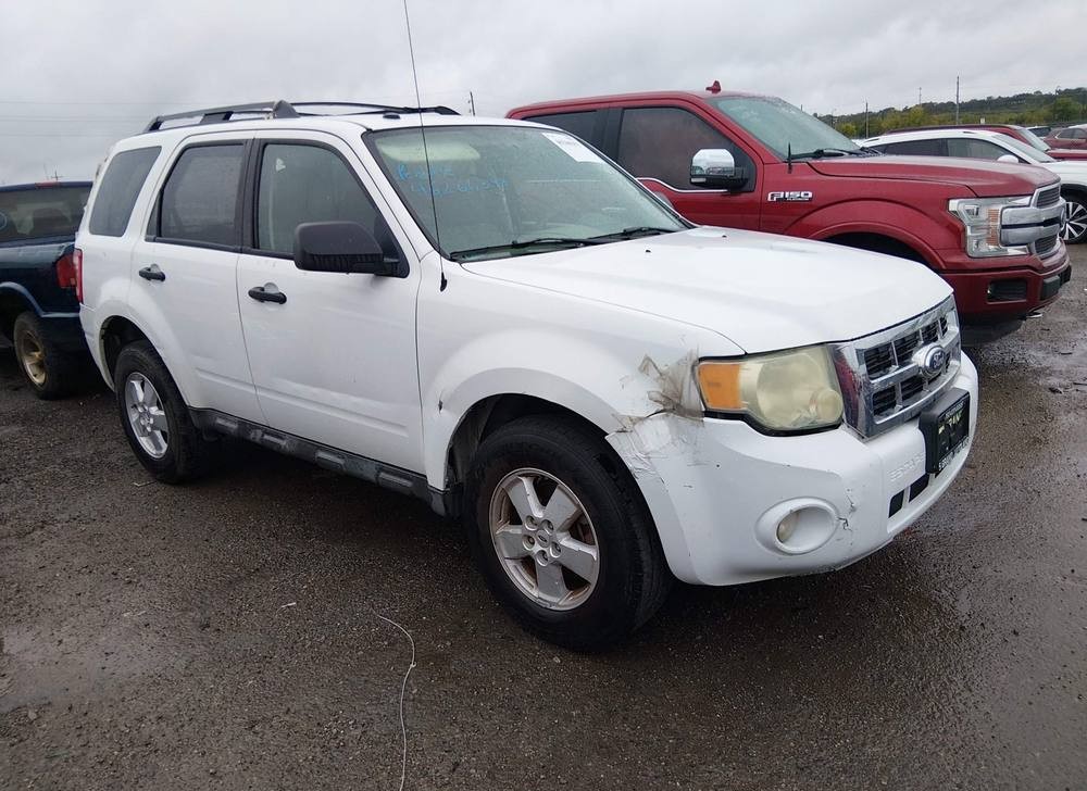 2010 Ford Escape Xlt