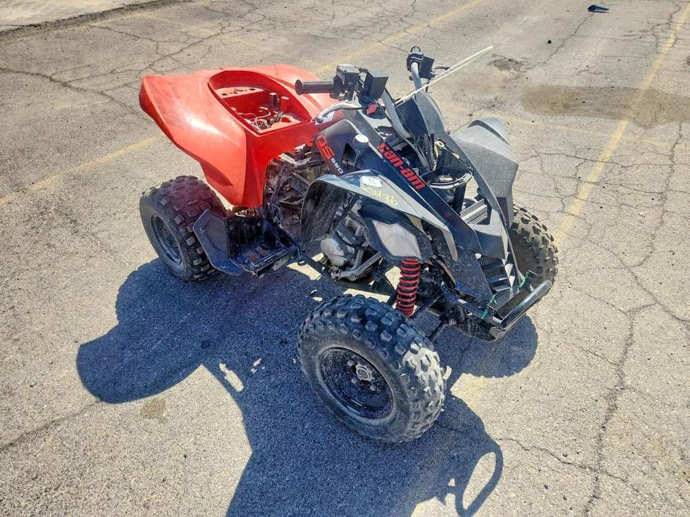 2022 AMC