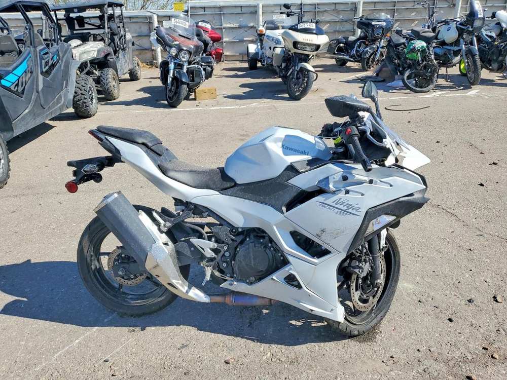 2025 kawasaki ninja