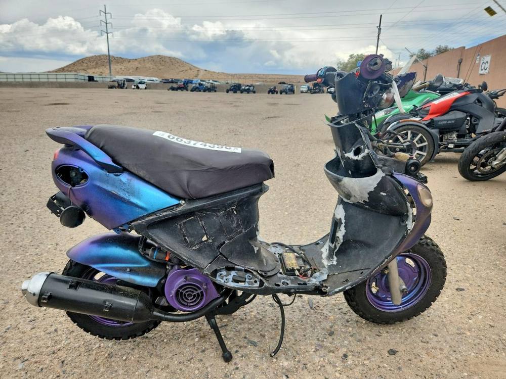 2008 Genuine Scooters Buddy