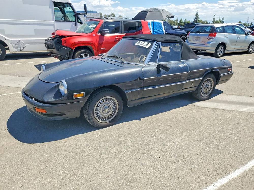 1981 Alfa Romeo Veloce 2000 Spider