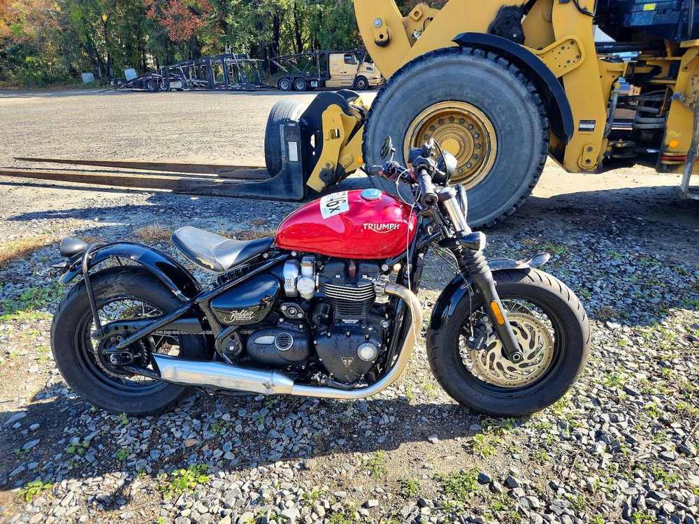 2023 Triumph bonneville