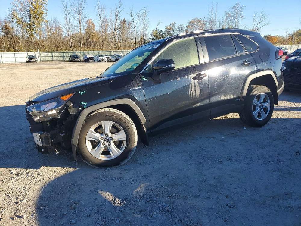 2019 Toyota RAV 4