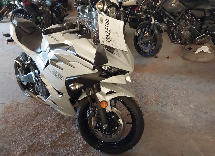 2025 kawasaki ninja