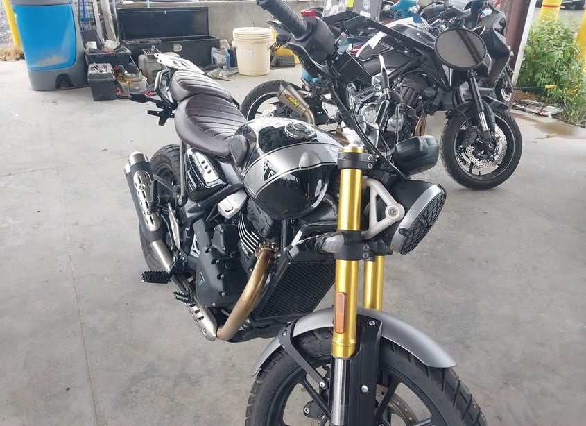 2025 Triumph scrambler