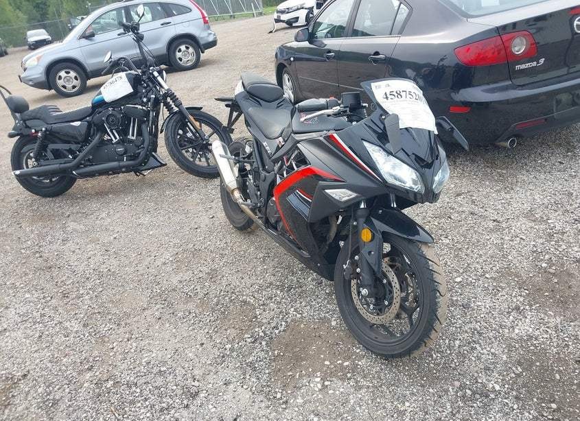 2023 Baodiao Roadster 250
