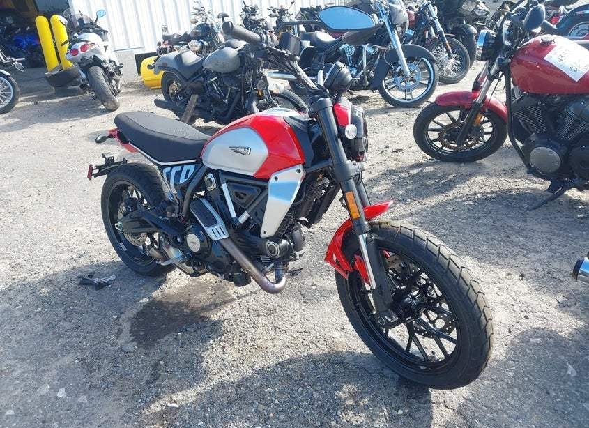 2025 ducati scrambler Icon