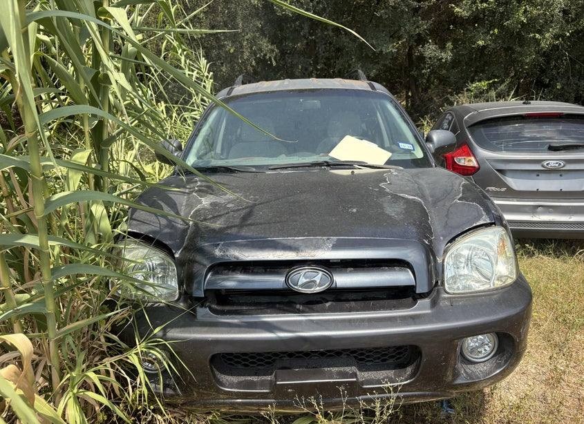 2006 Hyundai Santa Fe Gls