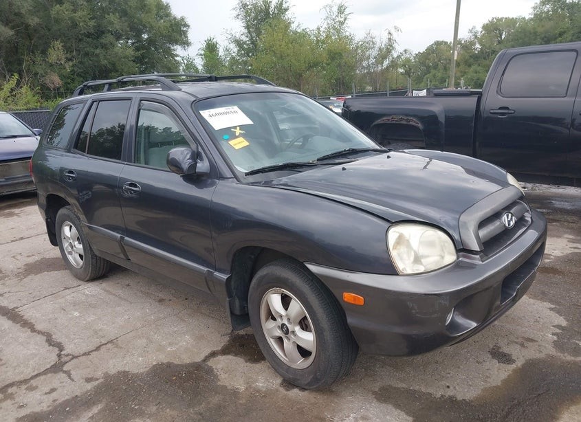 2005 Hyundai Santa Fe Gls/Lx