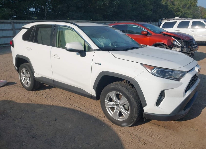 2019 Toyota RAV 4