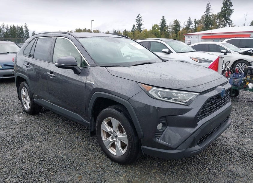 2020 Toyota RAV 4
