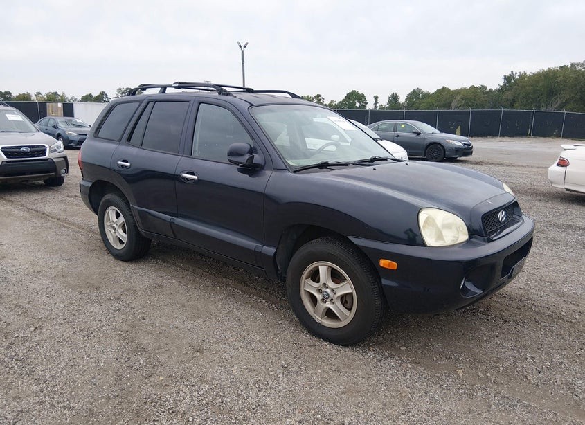 2004 Hyundai Santa Fe Gls/Lx